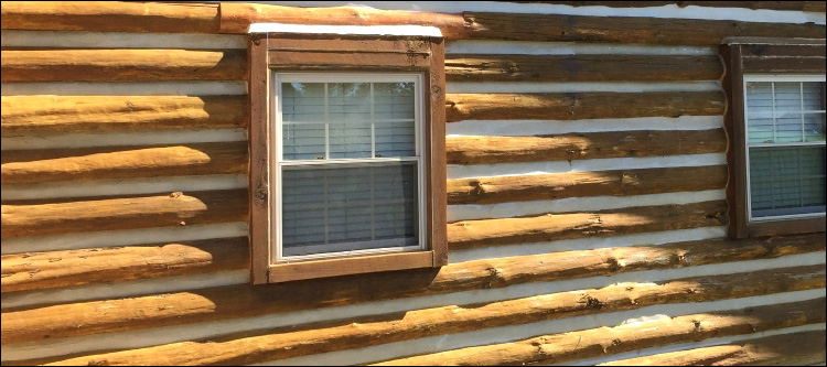 Log Home Whole Log Replacement  Caswell County,  North Carolina