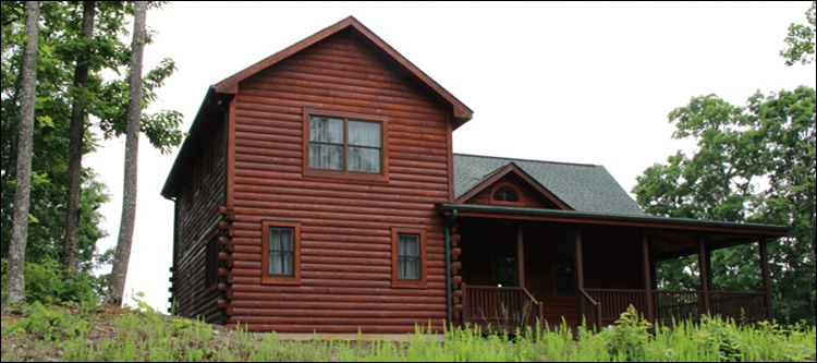 Professional Log Home Borate Application  Caswell County,  North Carolina